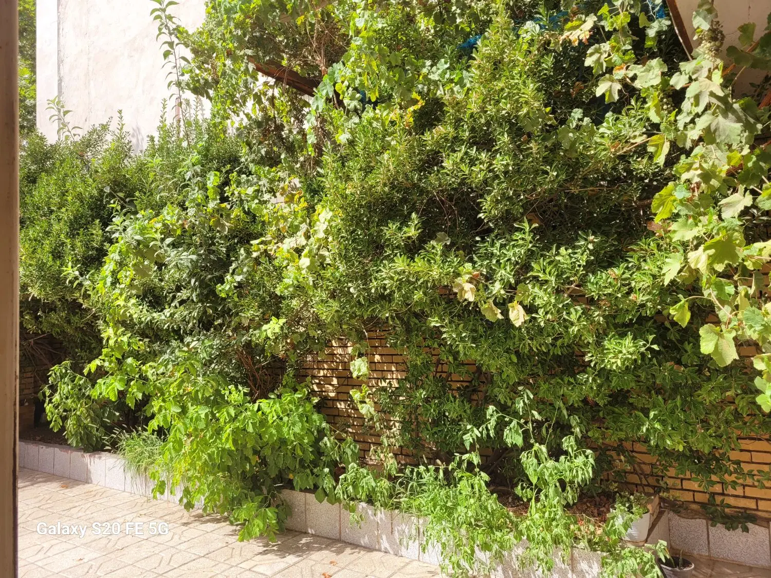 عکس 2 ملک 1145