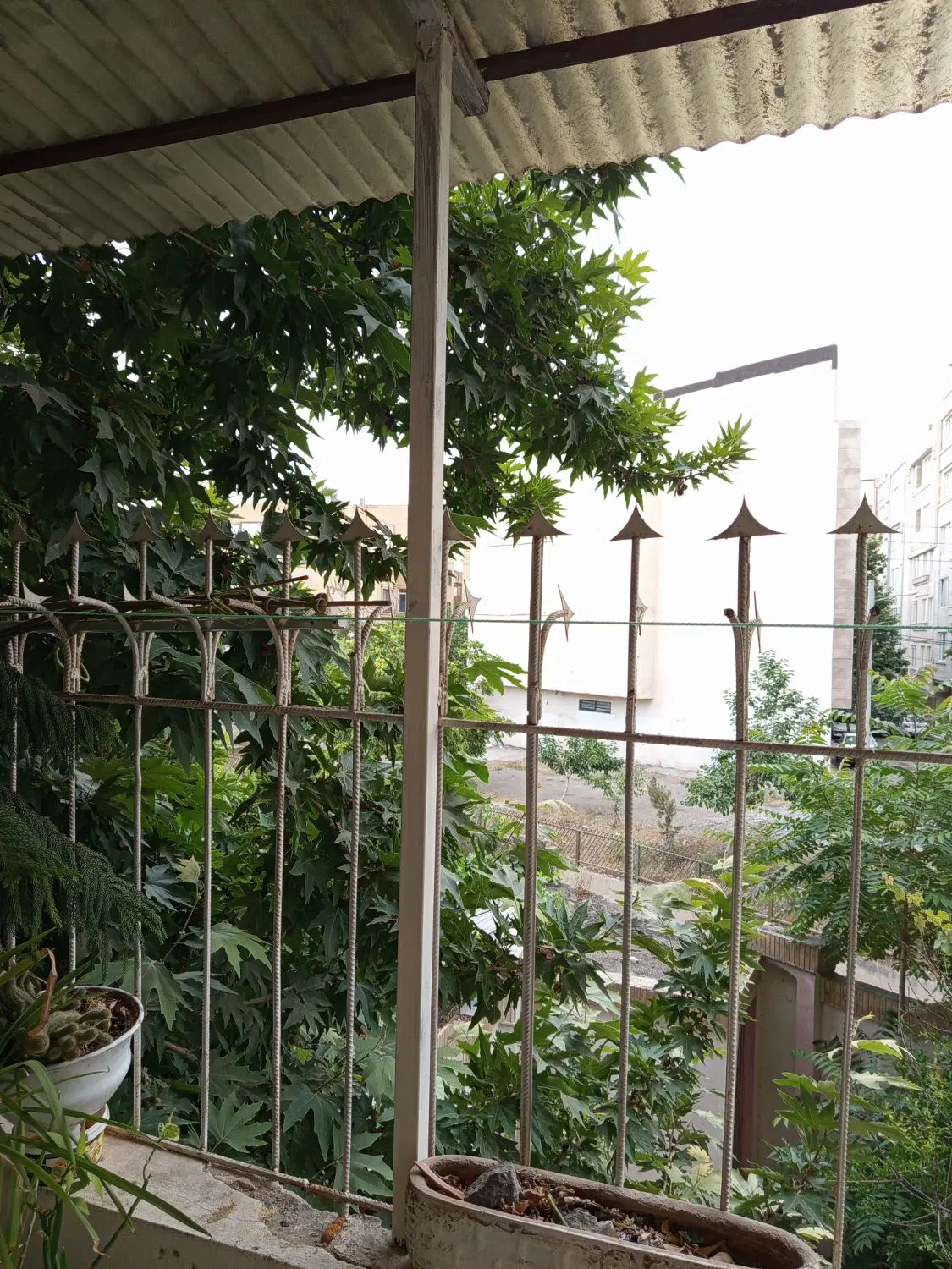 عکس 1 ملک 157