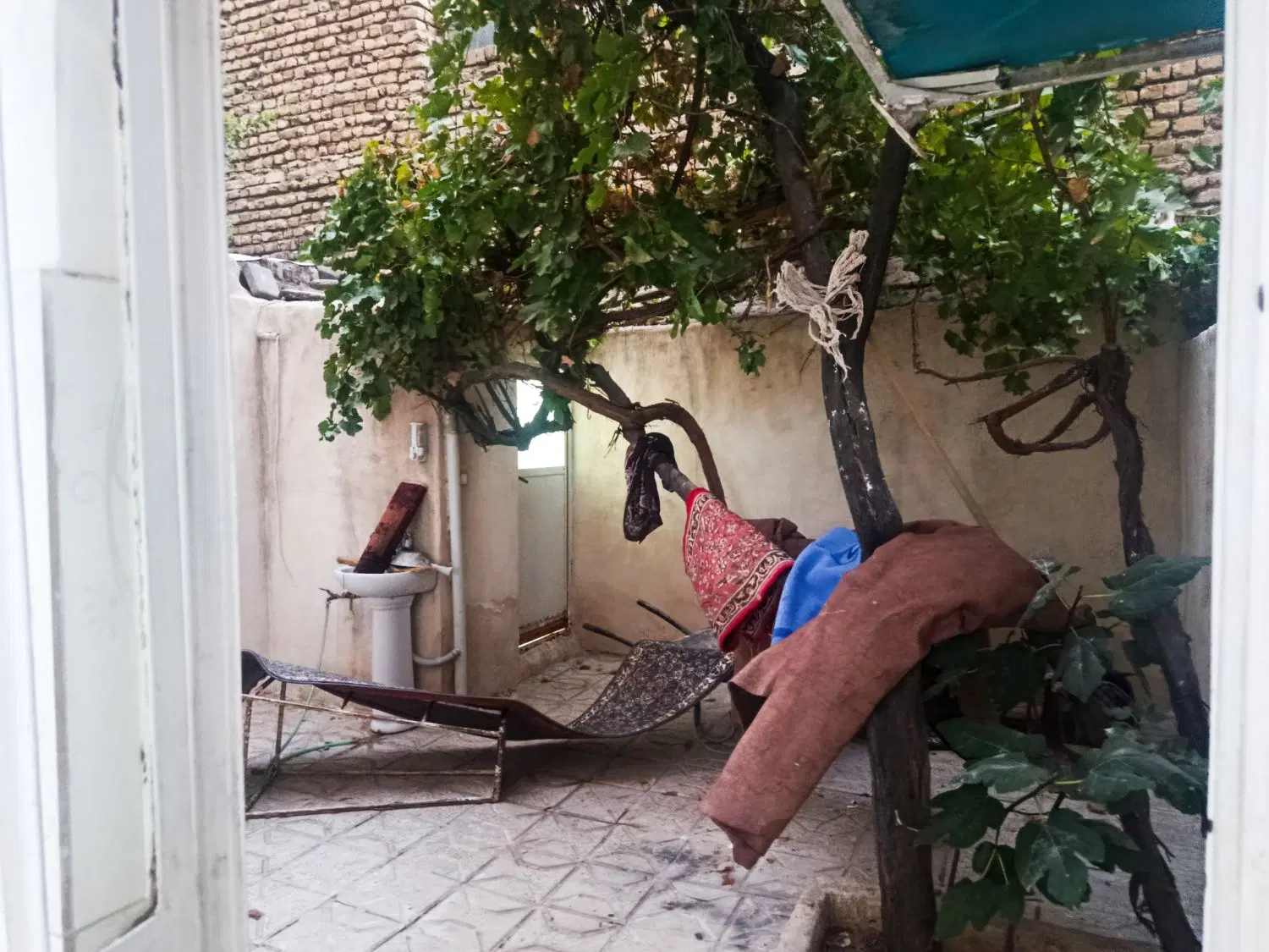 عکس 3 ملک 2351