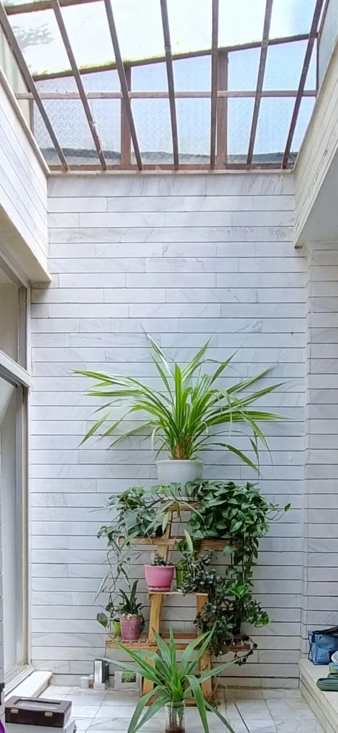 عکس 5 ملک 2396