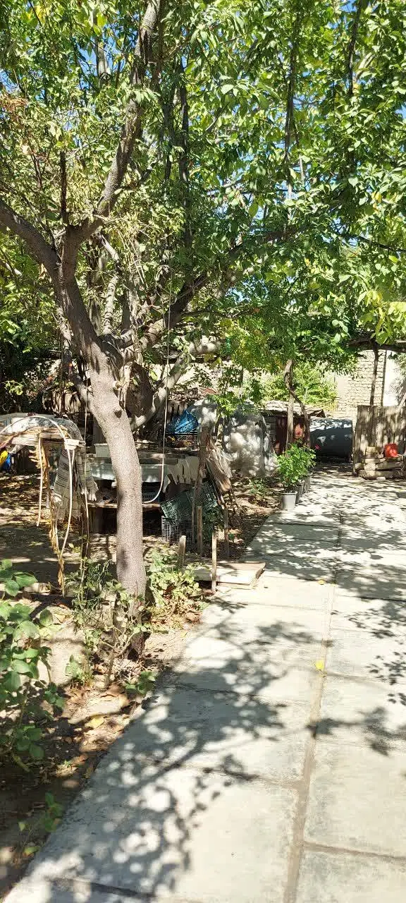 عکس 1 ملک 2520