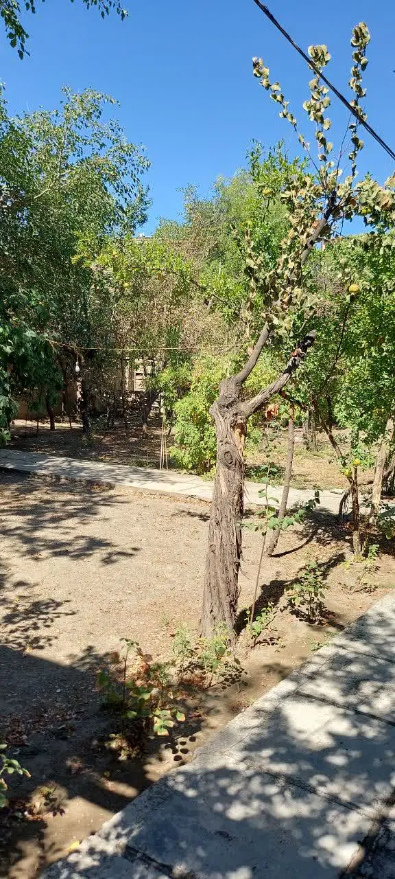 عکس 4 ملک 2520