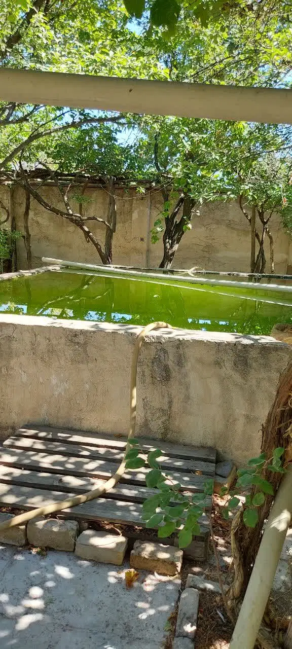عکس 5 ملک 2520