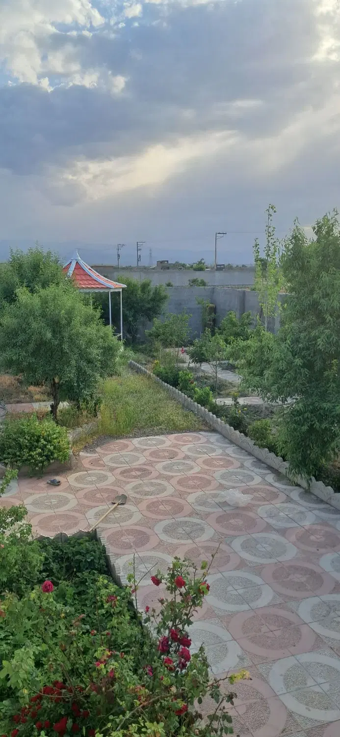 عکس 1 ملک 255