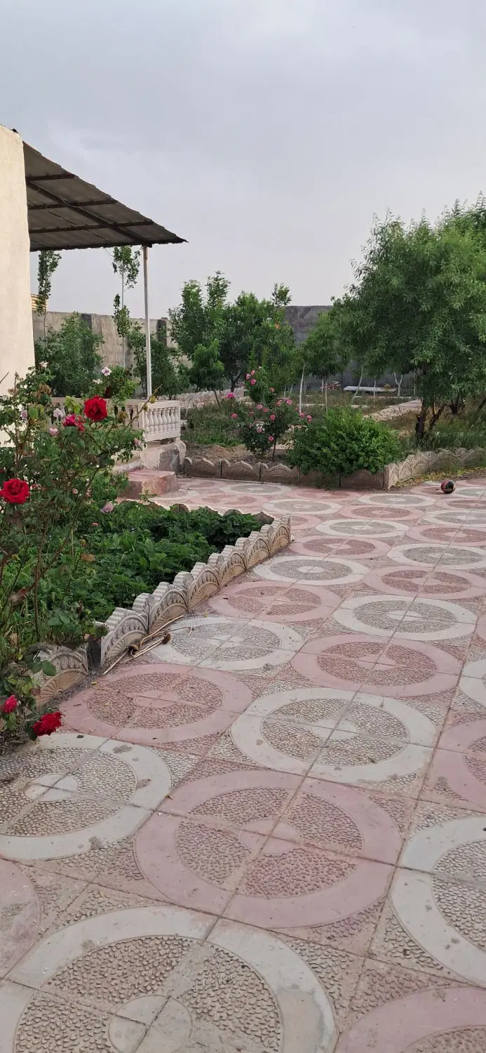 عکس 3 ملک 255