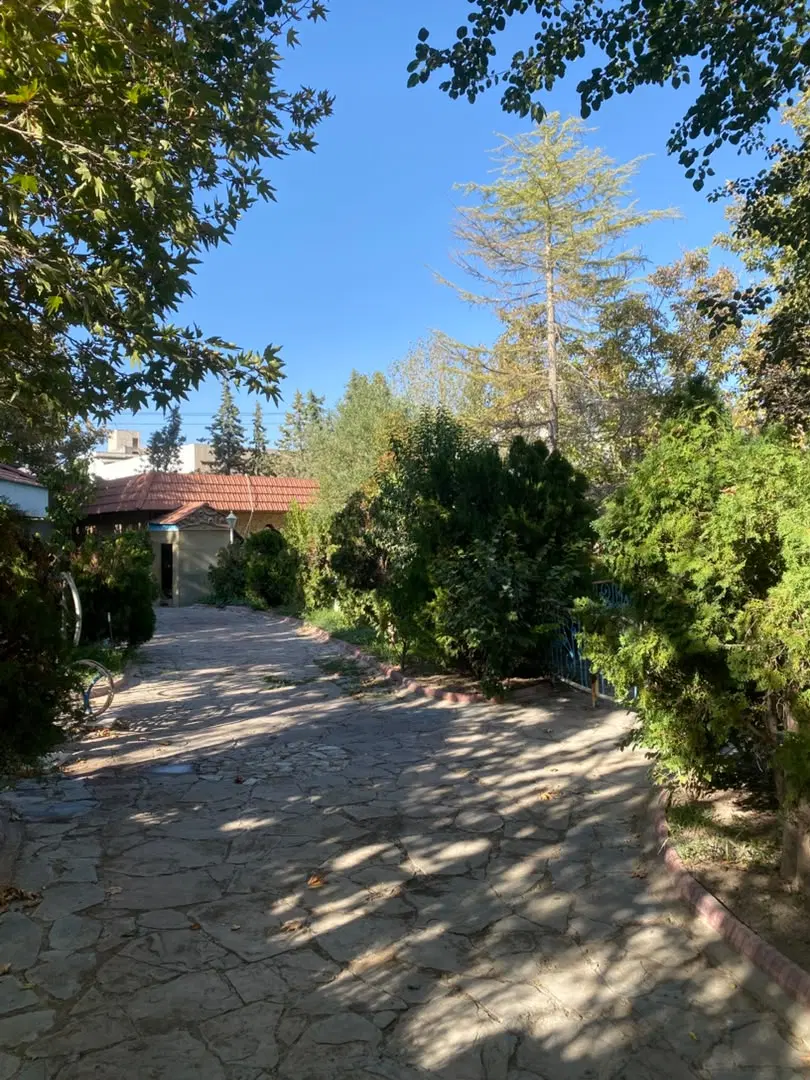 عکس 2 ملک 2594