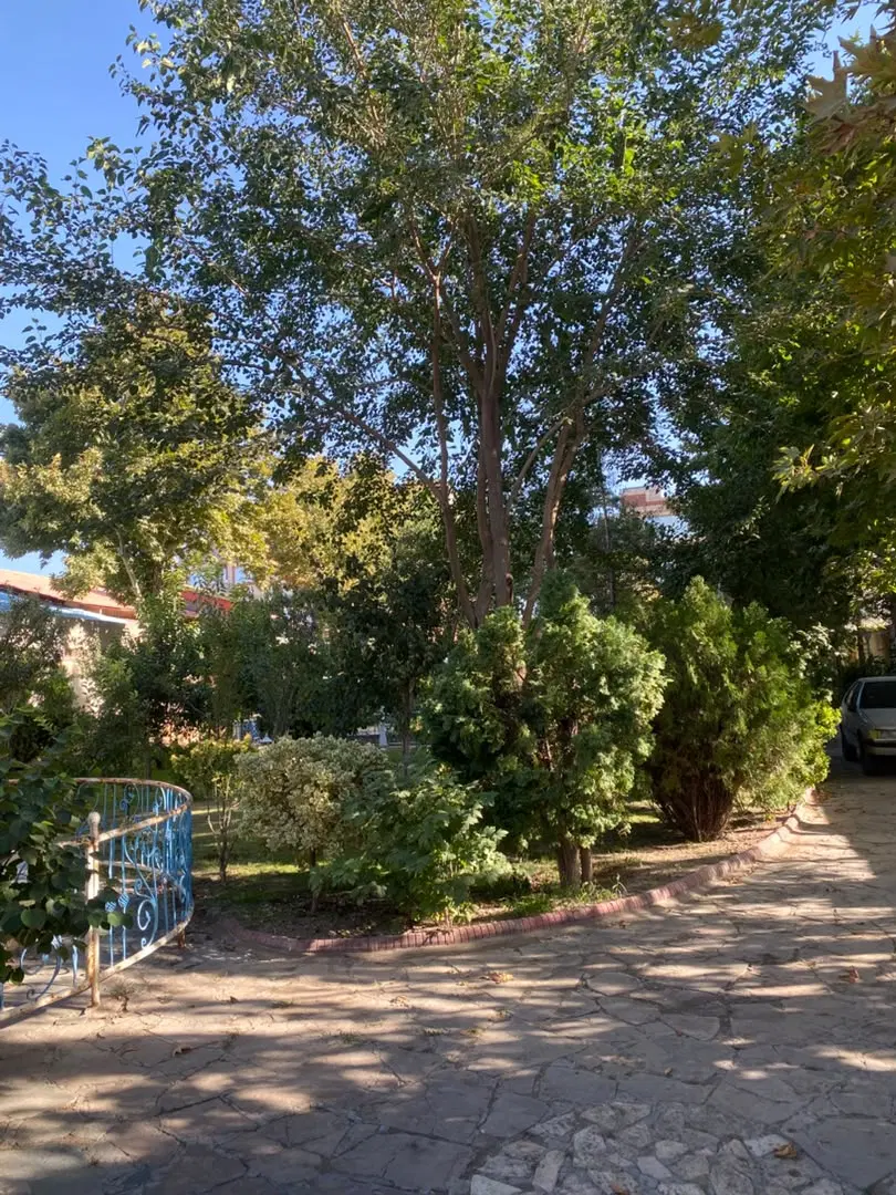 عکس 3 ملک 2594