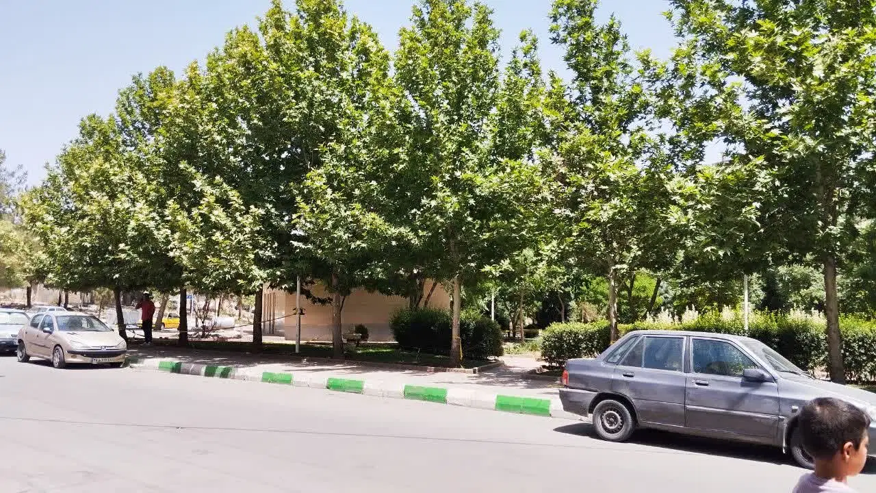 عکس 2 ملک 2616
