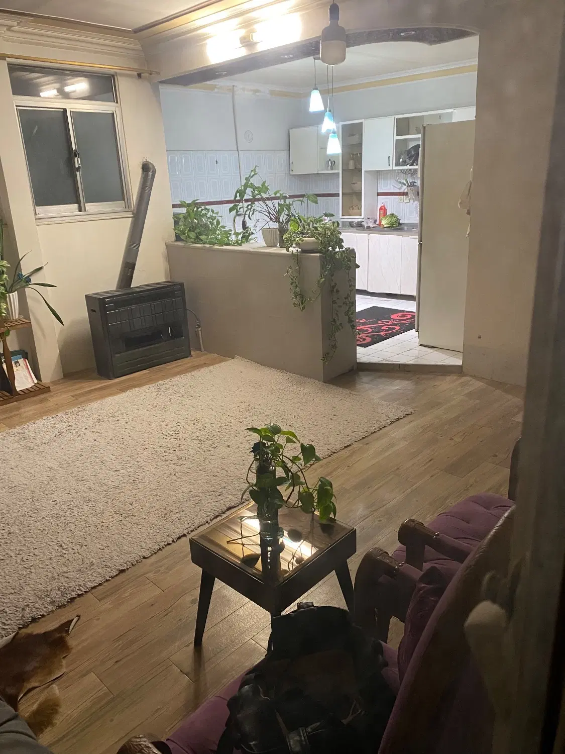 عکس 1 ملک 2620