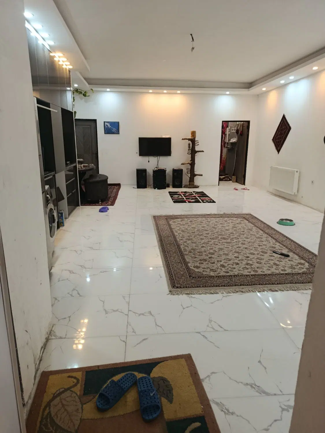 عکس 2 ملک 2656