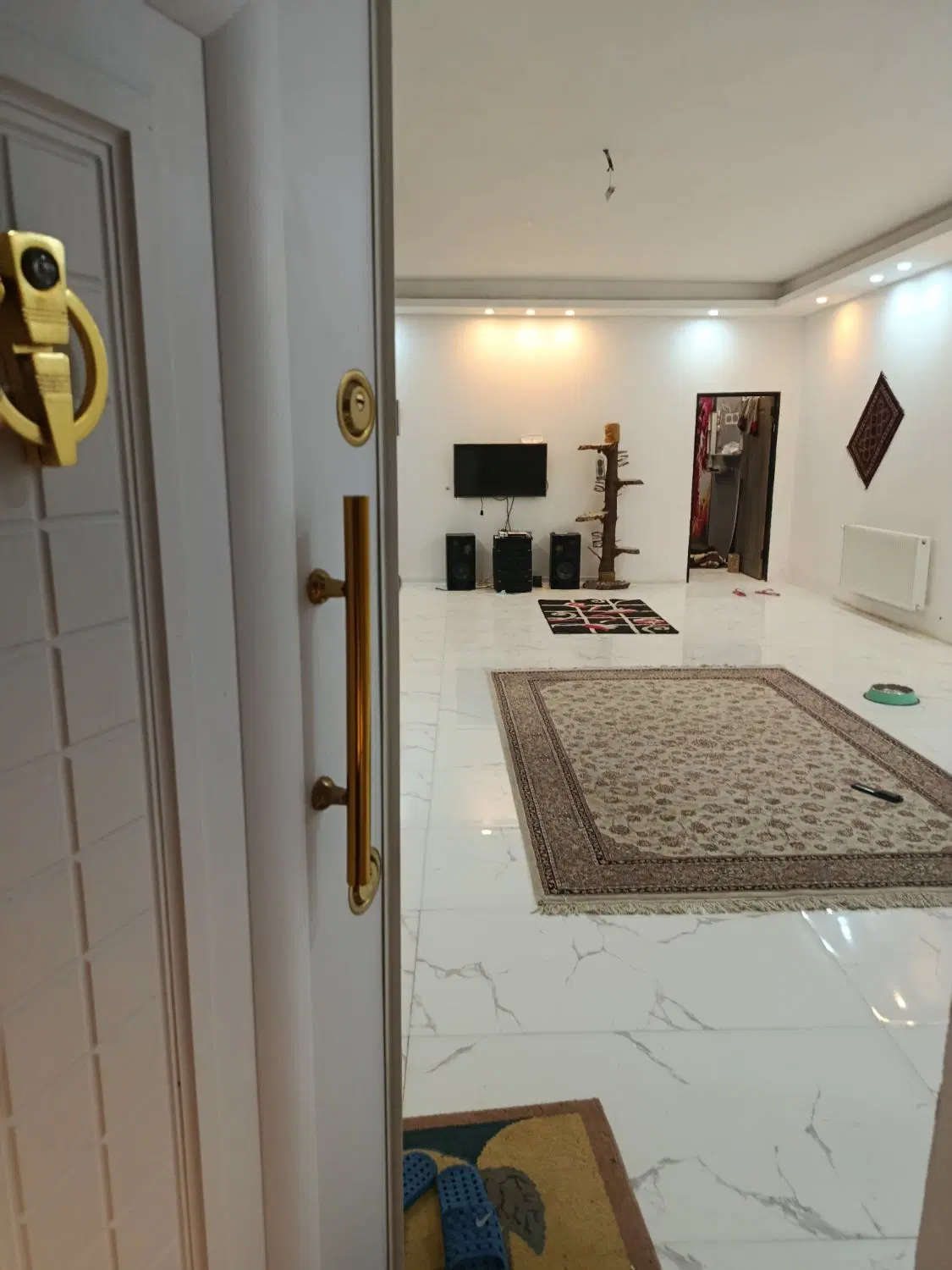 عکس 1 ملک 2656