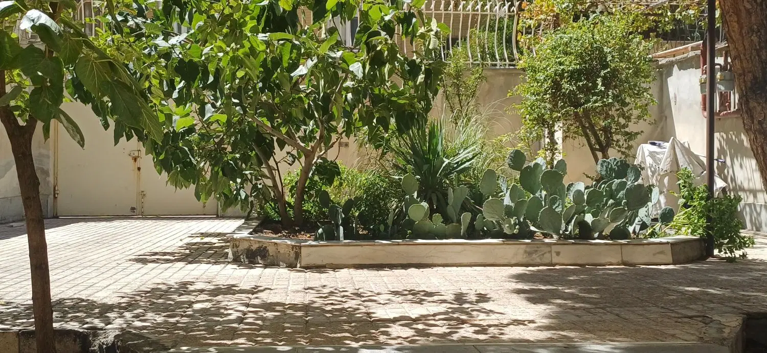عکس 3 ملک 2696