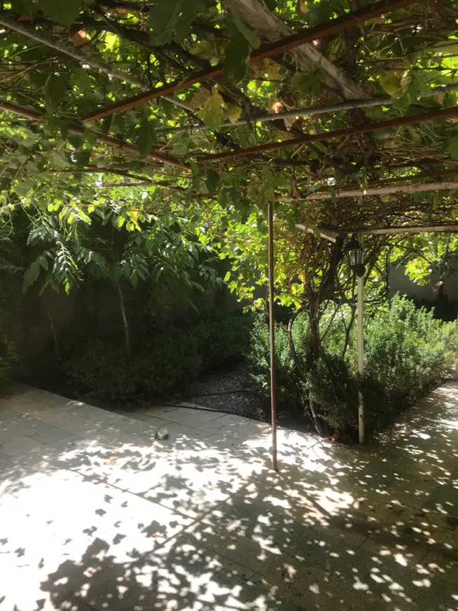 عکس 2 ملک 2752