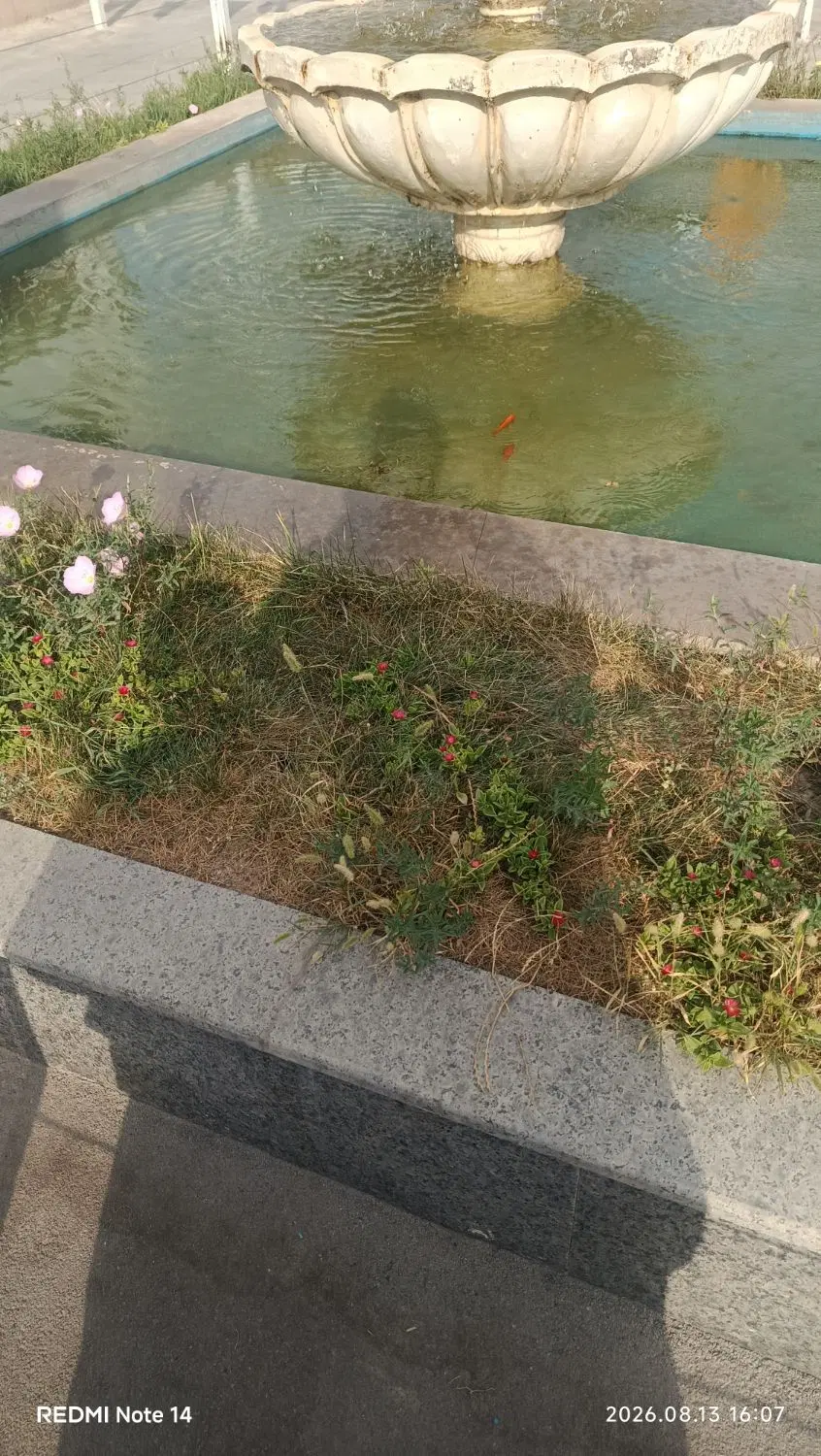 عکس 1 ملک 277