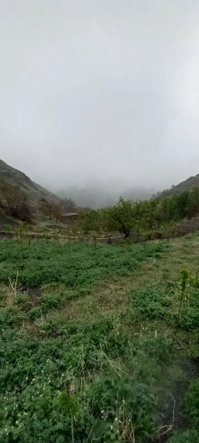 عکس 3 ملک 3093