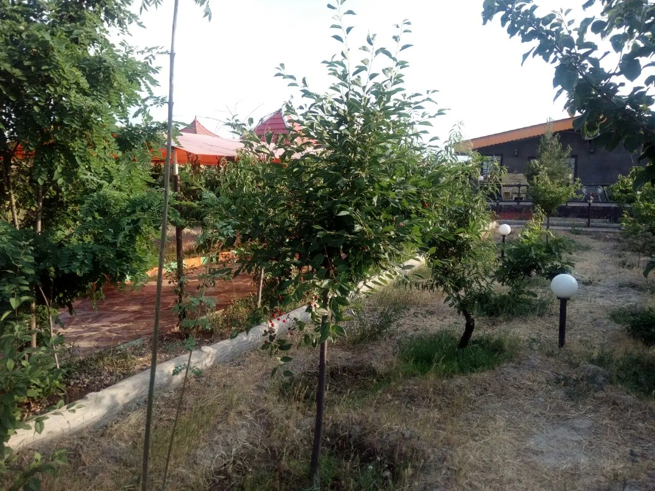 عکس 2