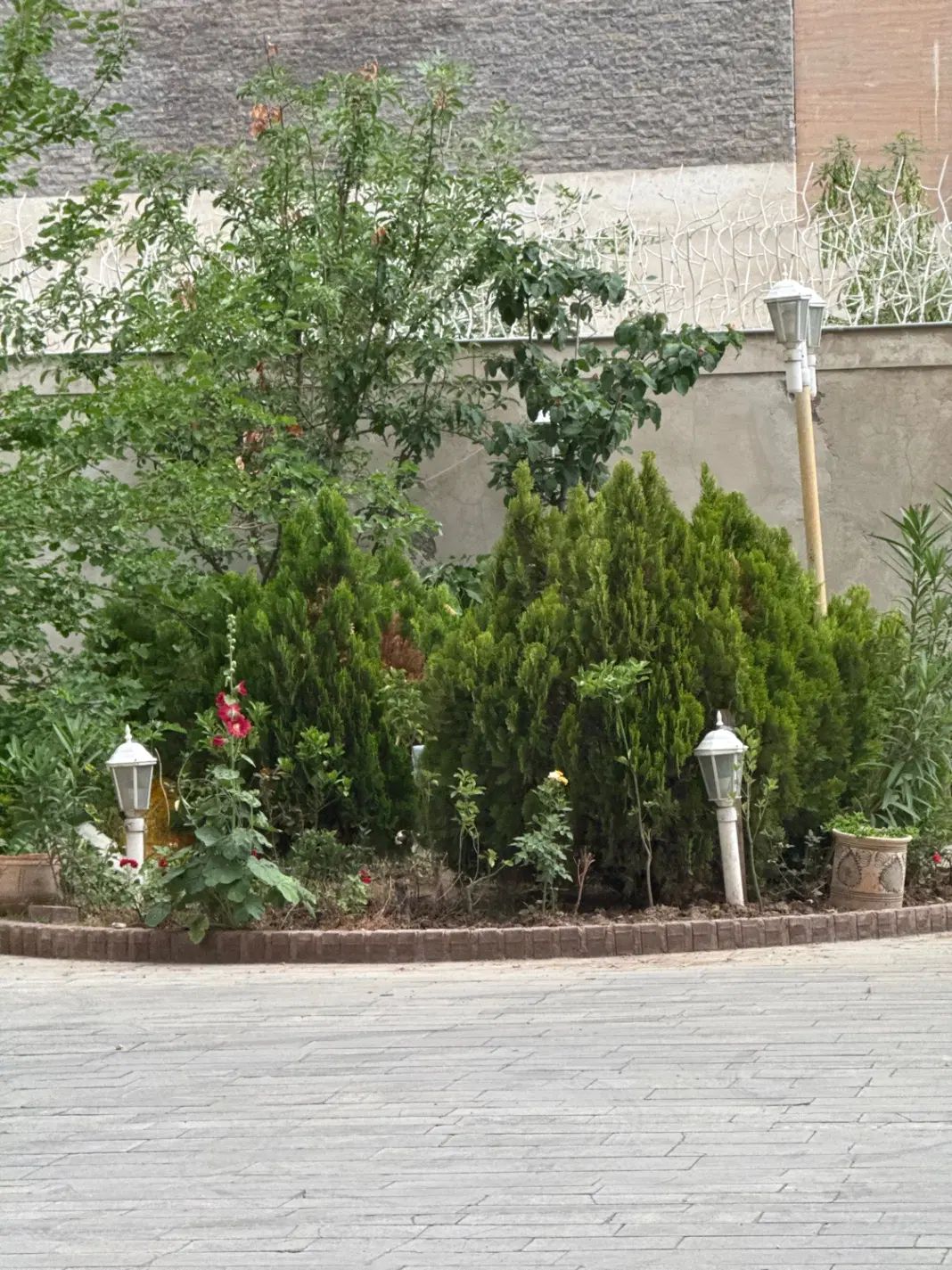 عکس 1 ملک 3317