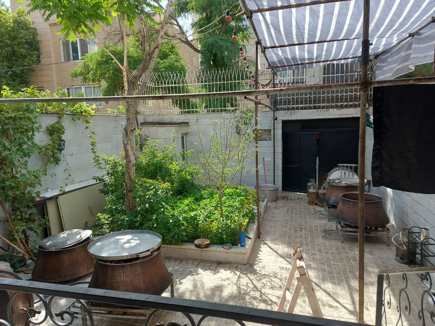 عکس 2 ملک 3335