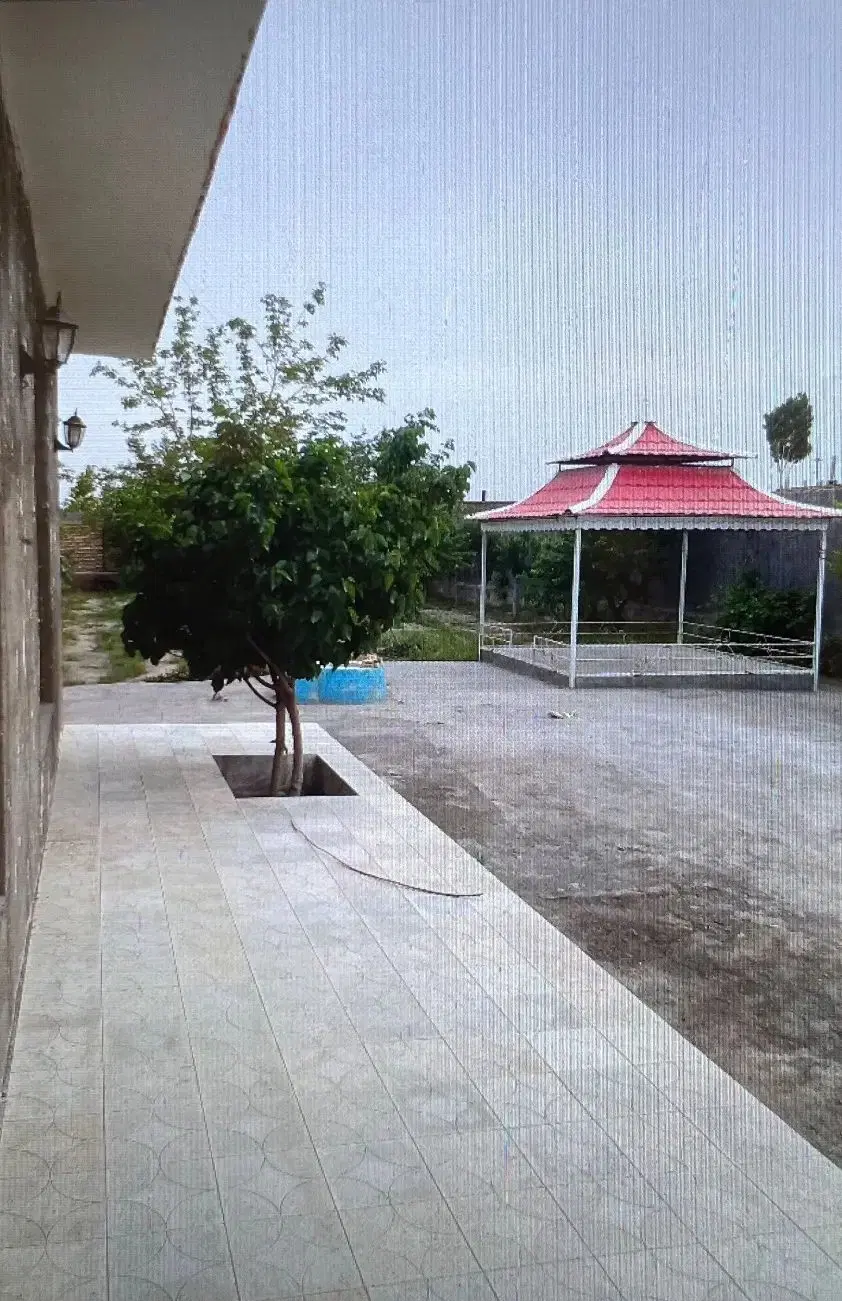 عکس 1 ملک 3363