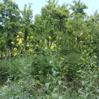 عکس 5 ملک 3473