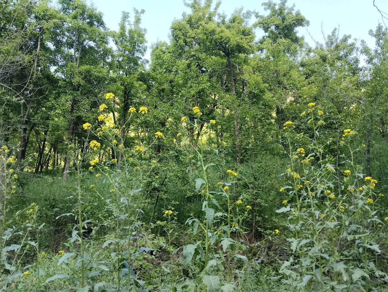 عکس 2 ملک 3473