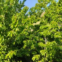 عکس 6 ملک 3473