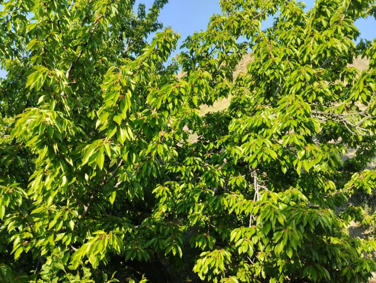 عکس 3 ملک 3473