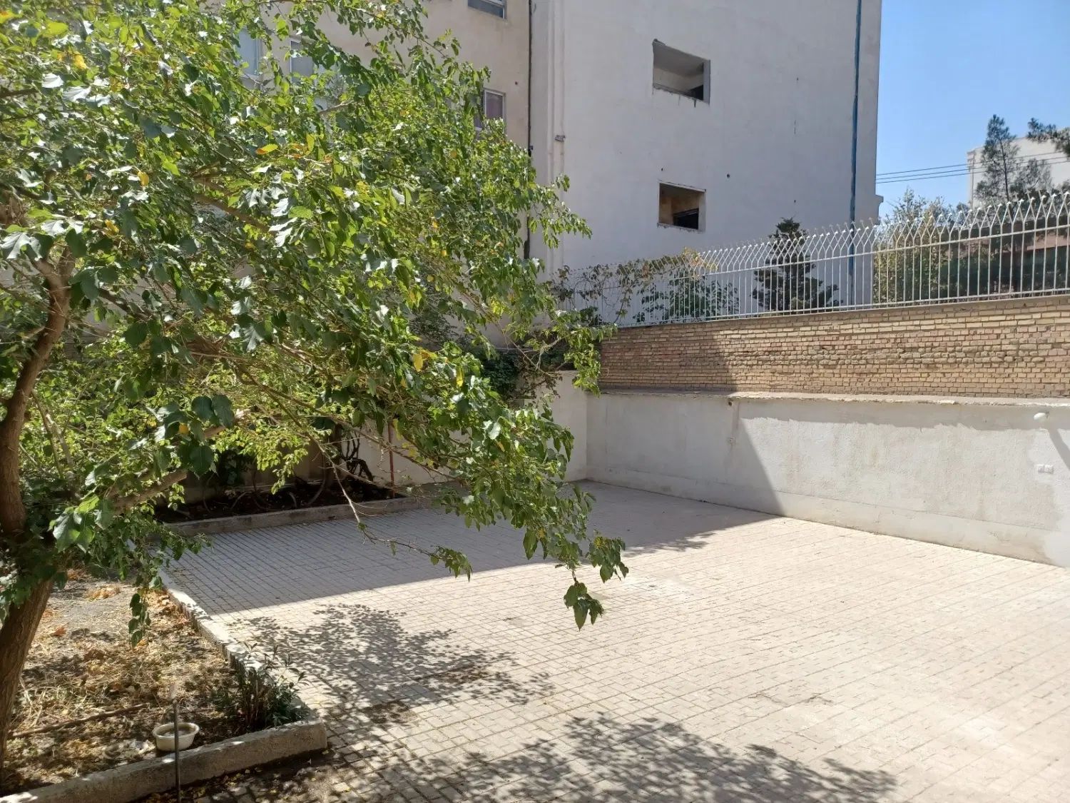 عکس 1 ملک 3556