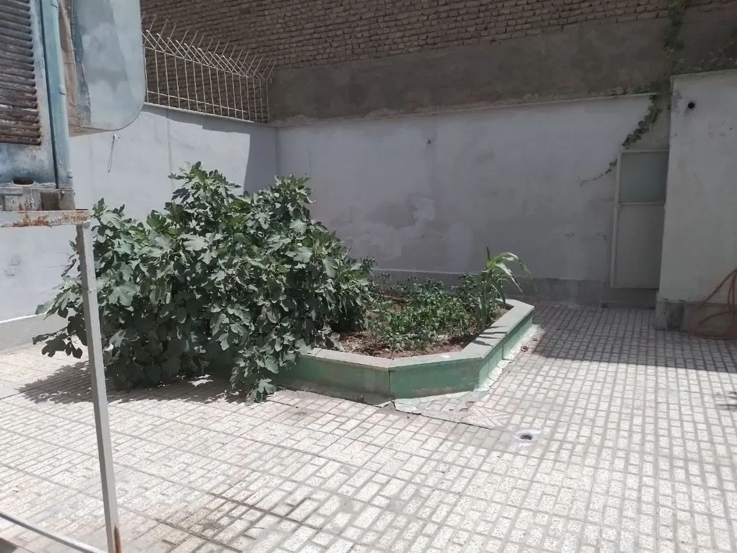 عکس 1 ملک 3564