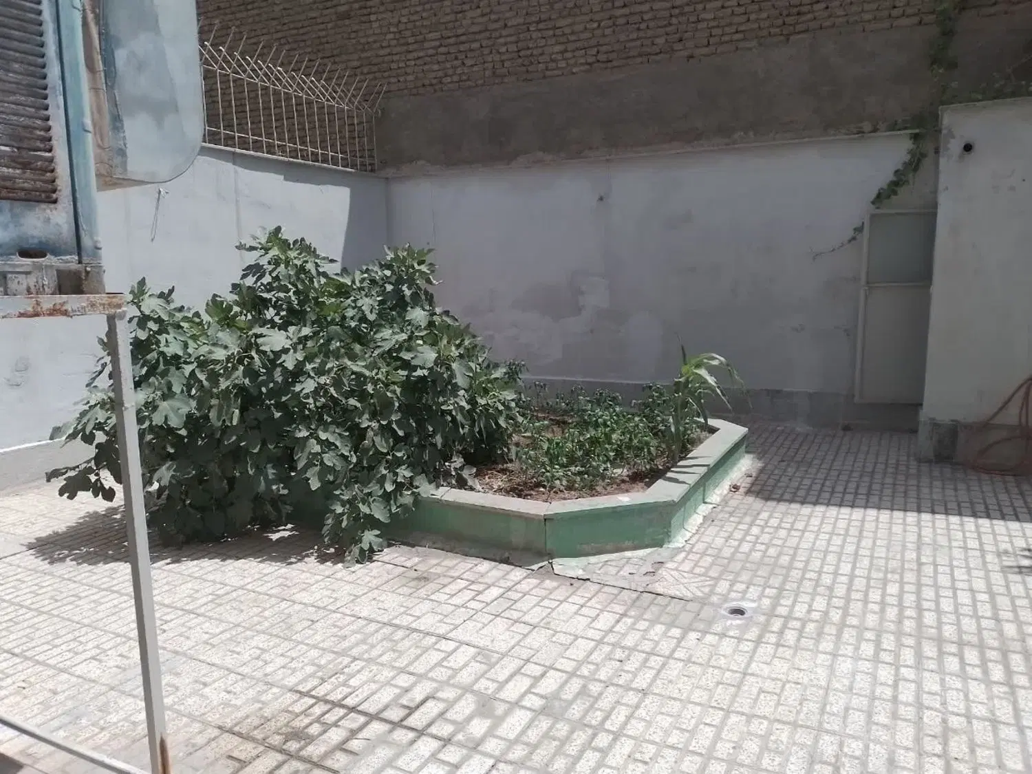 عکس 2 ملک 3564