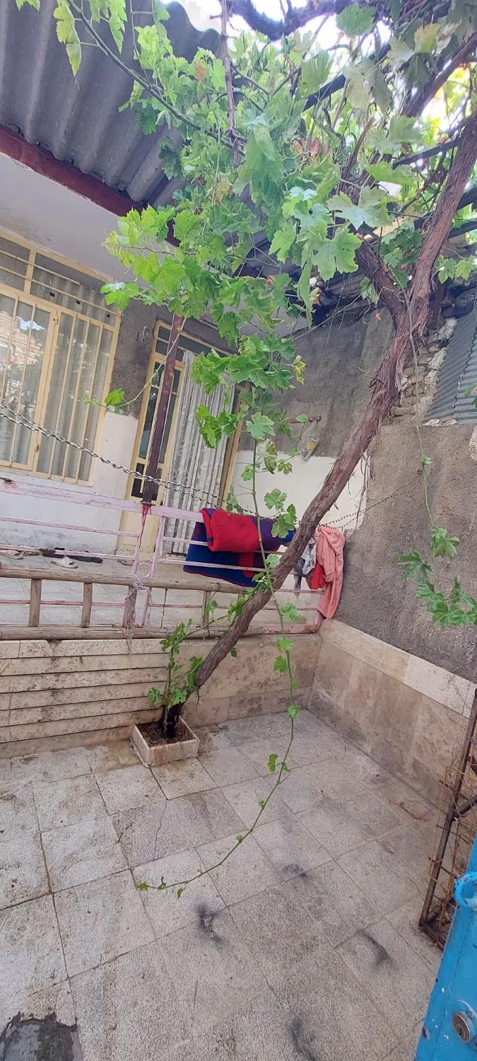 عکس 6 ملک 3592