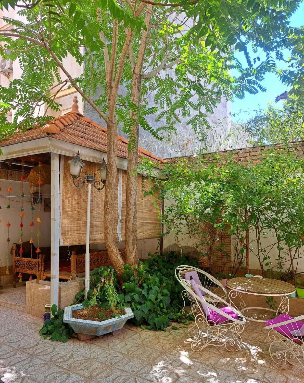 عکس 2 ملک 3620