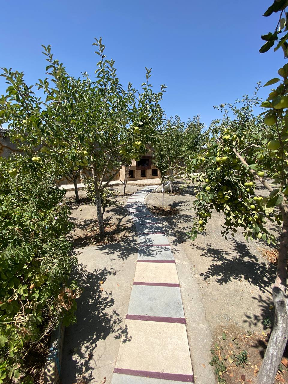 عکس 7 ملک 375