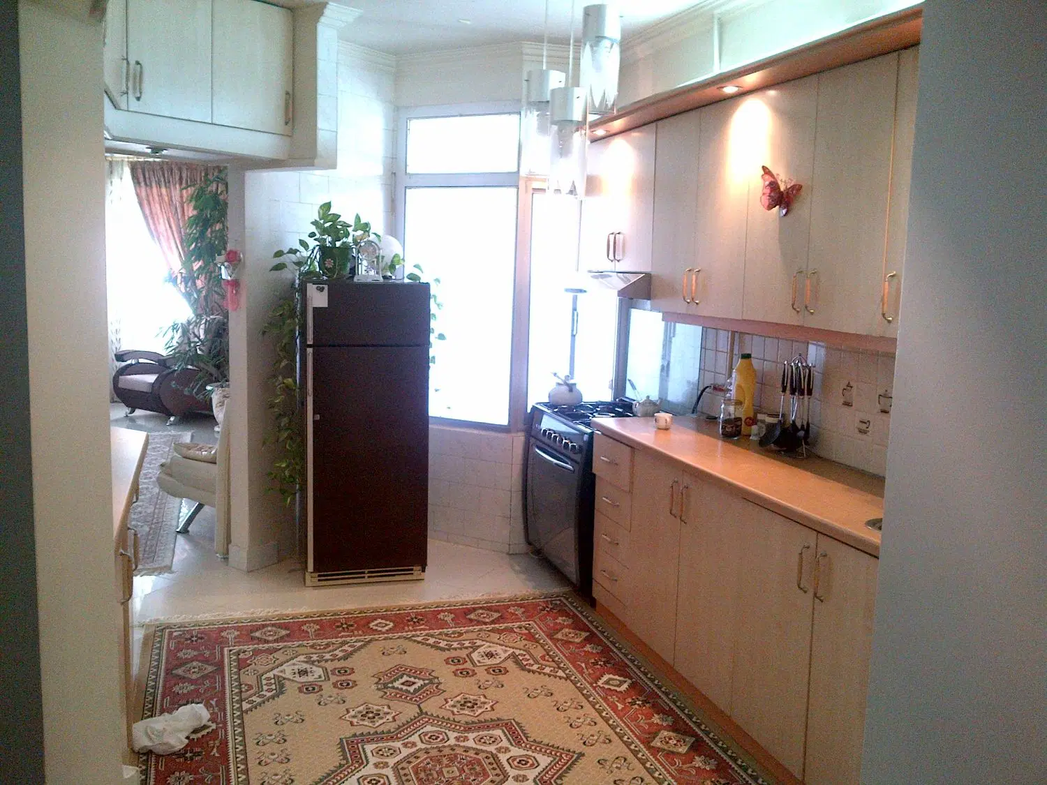 عکس 4 ملک 3856