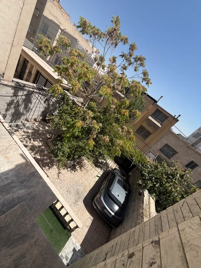 عکس 5 ملک 3890