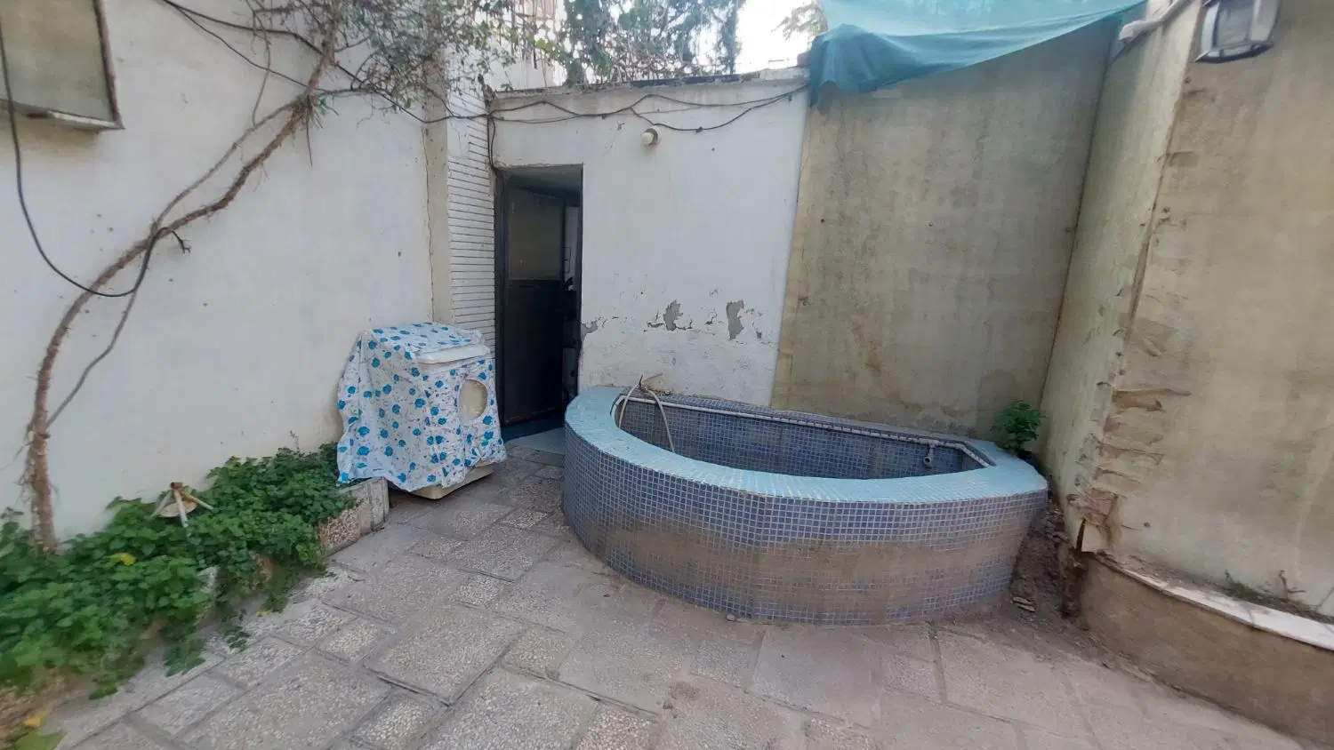 عکس 2 ملک 3908