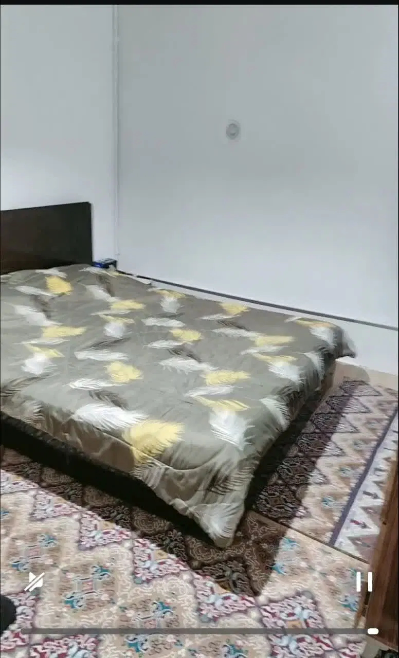 عکس 5 ملک 3922