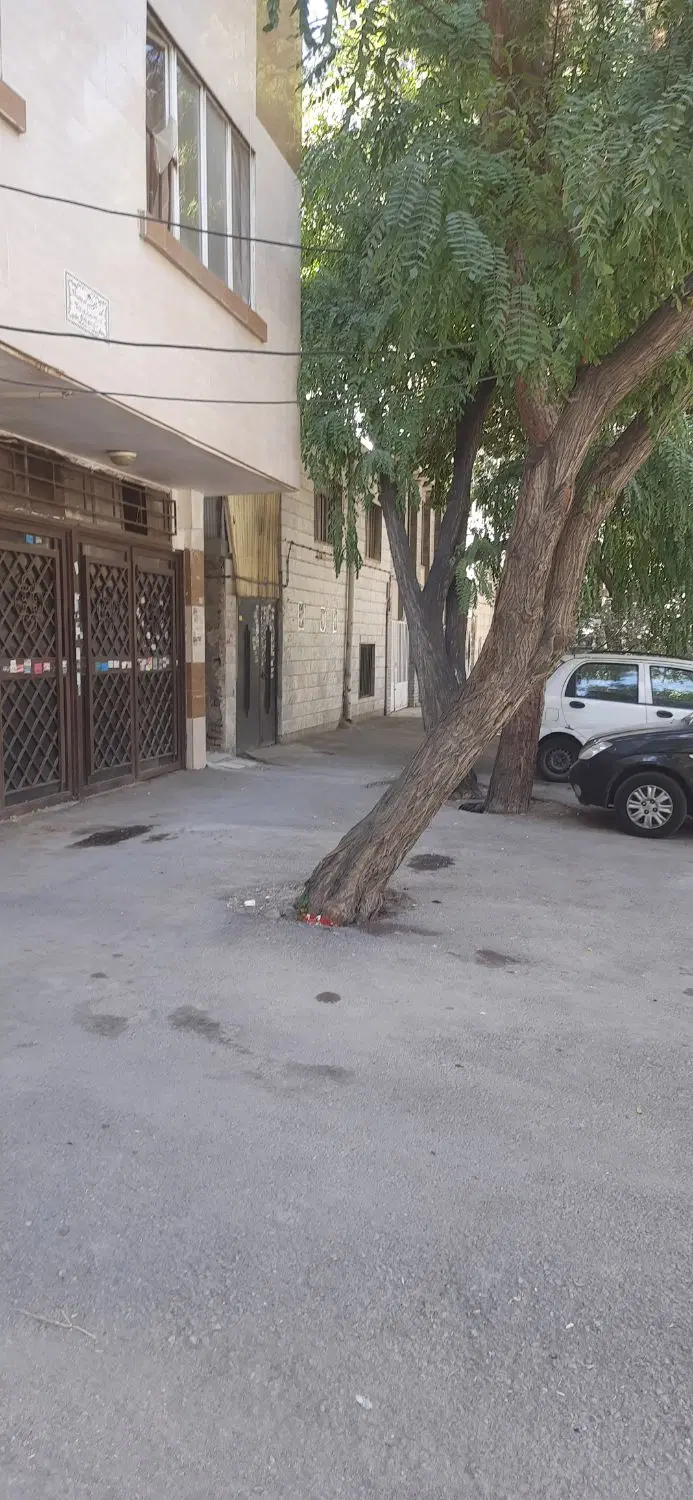 عکس 2 ملک 3984