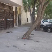 عکس 5 ملک 3984