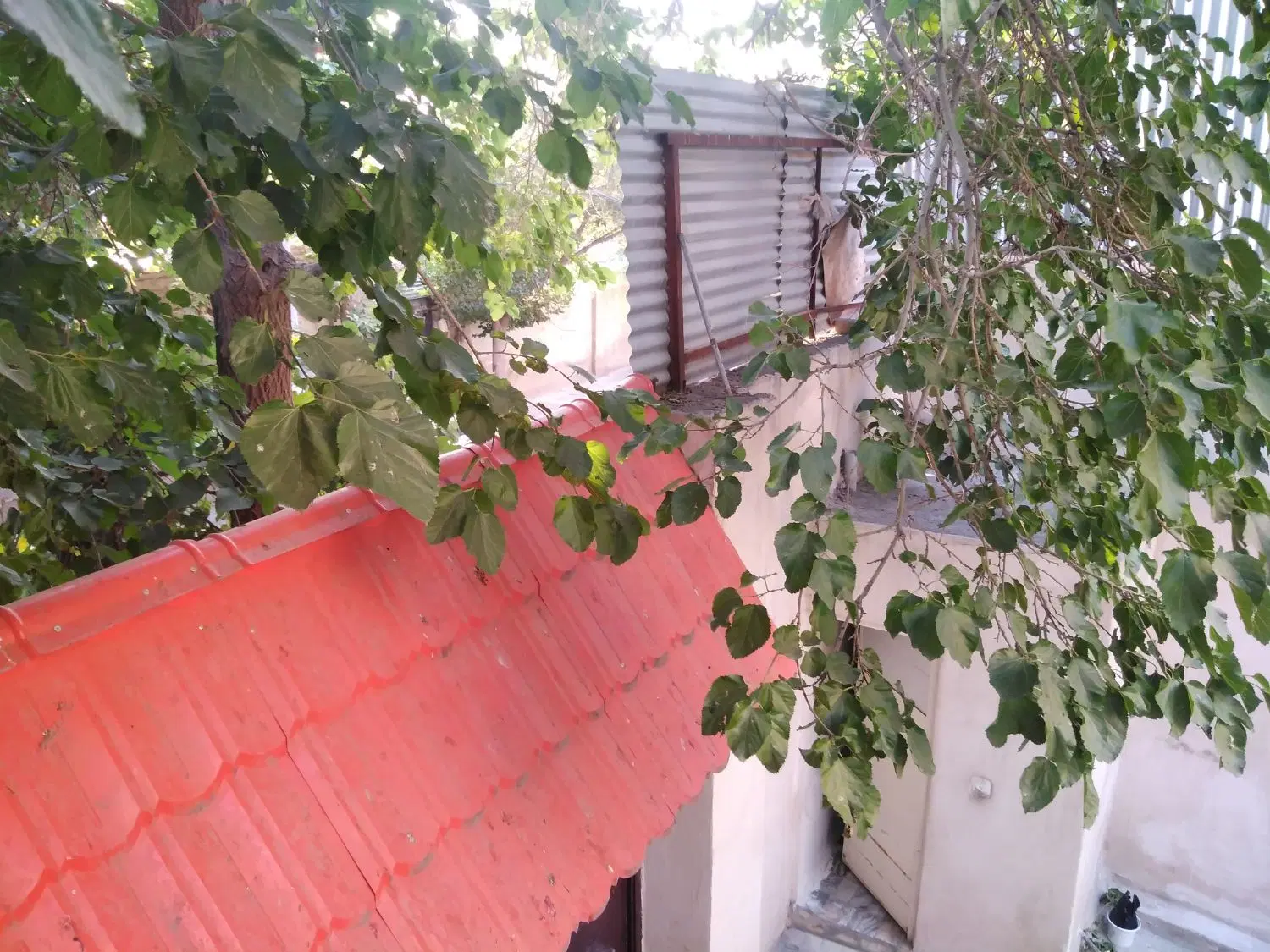 عکس 2 ملک 4002