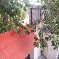 عکس 4 ملک 4002