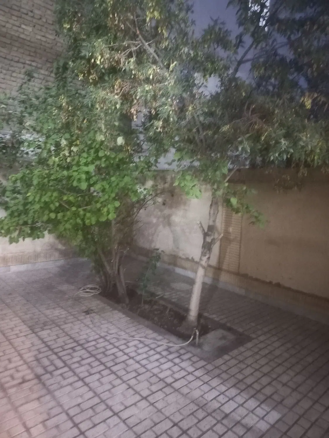 عکس 2 ملک 4054