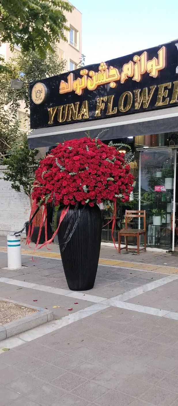 عکس 2 ملک 4074