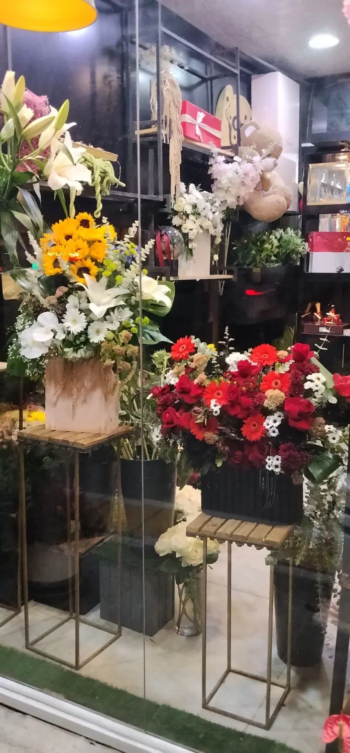 عکس 5 ملک 4074