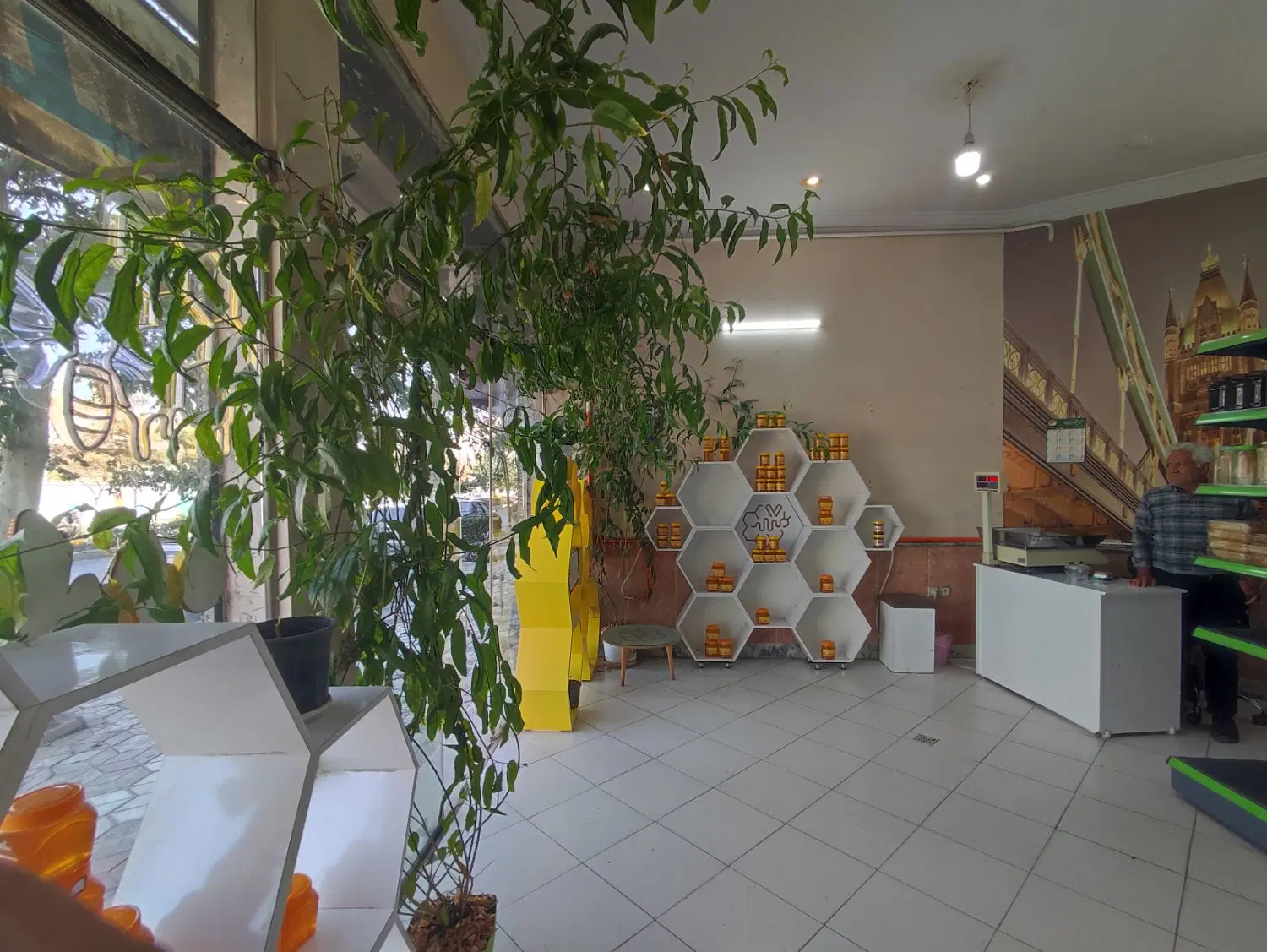 عکس 4 ملک 4117